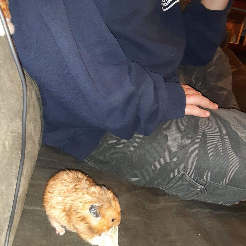 Meet your Posher, Michael